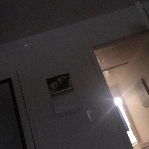 Meet your Posher, Cesar